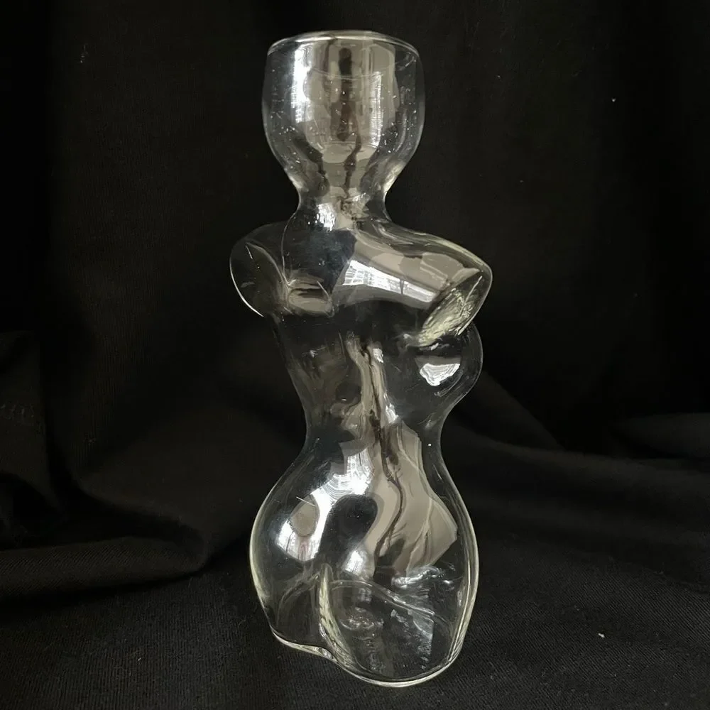 Elegant Glass Vase with Green Plant